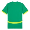 Camiseta de fútbol Senegal Segunda Equipación 2024-25 - Hombre